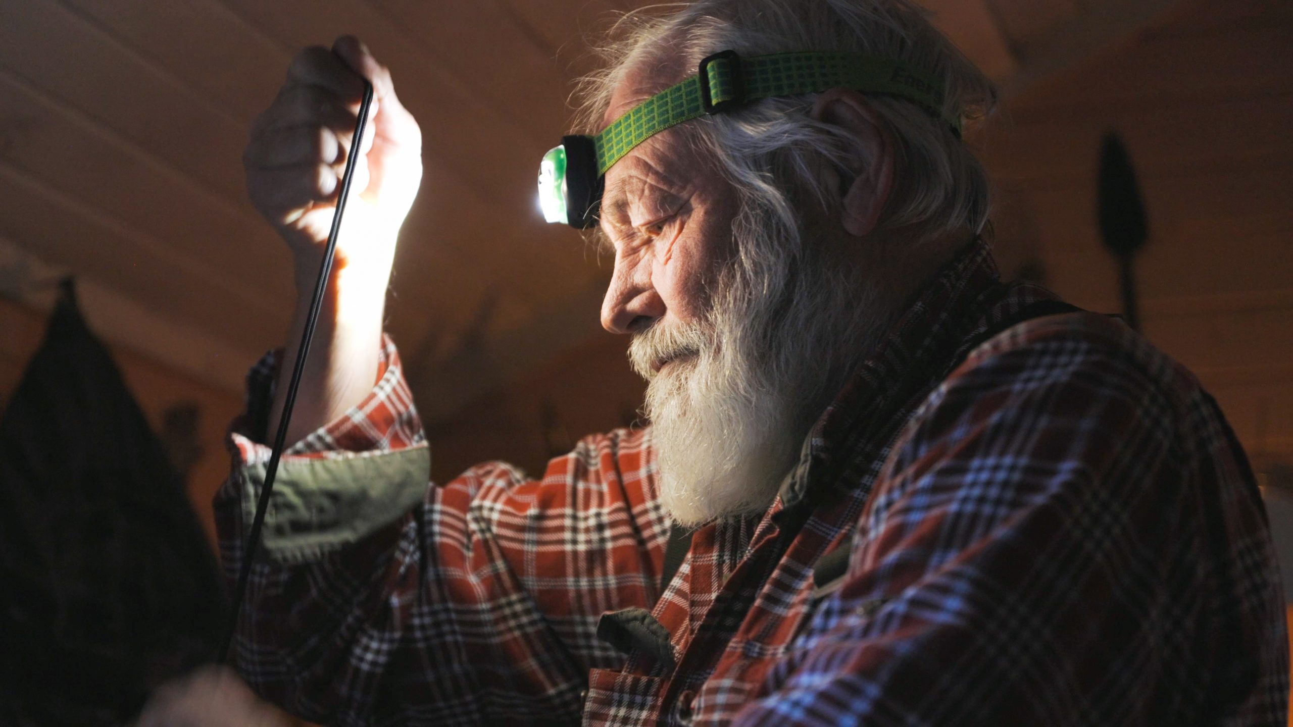 en elg i morgen | ethnographic film